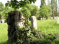 1-067 Szerdahelyi Kálmán